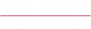 Via logo on clear background